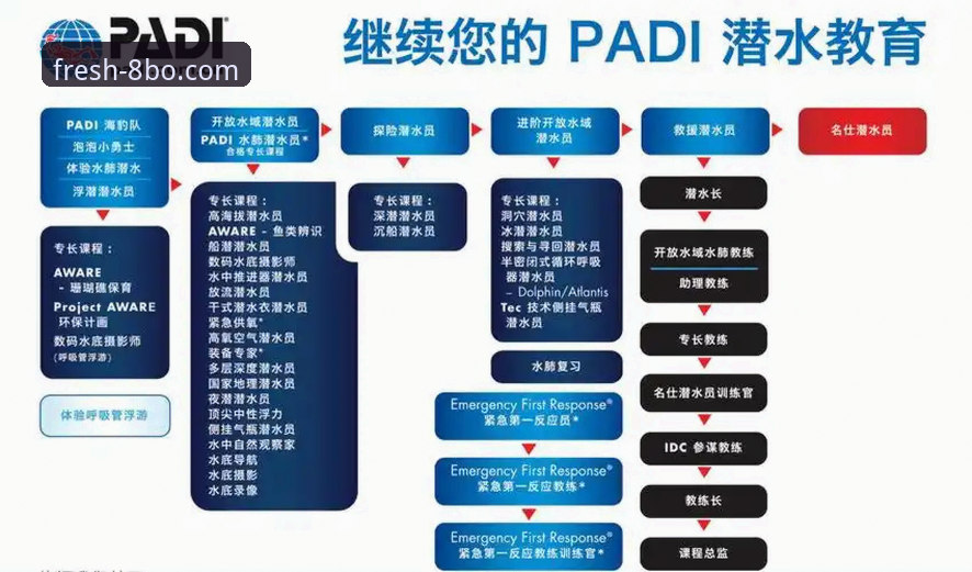 博体育入口 8博体育平台新手入门指南:从下载到使用的完整教程